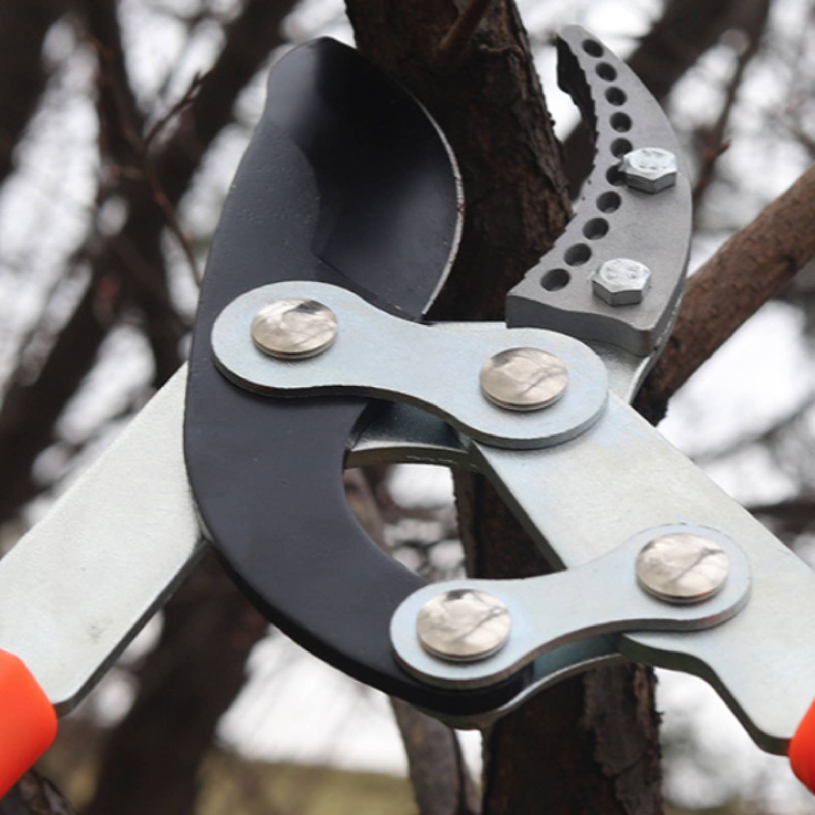 Garden Tools - 伸縮式枝切り鋏 シャープブレード 頑丈な木剪定鋏 剪定鋏 快適なグリップ ガーデニングツール