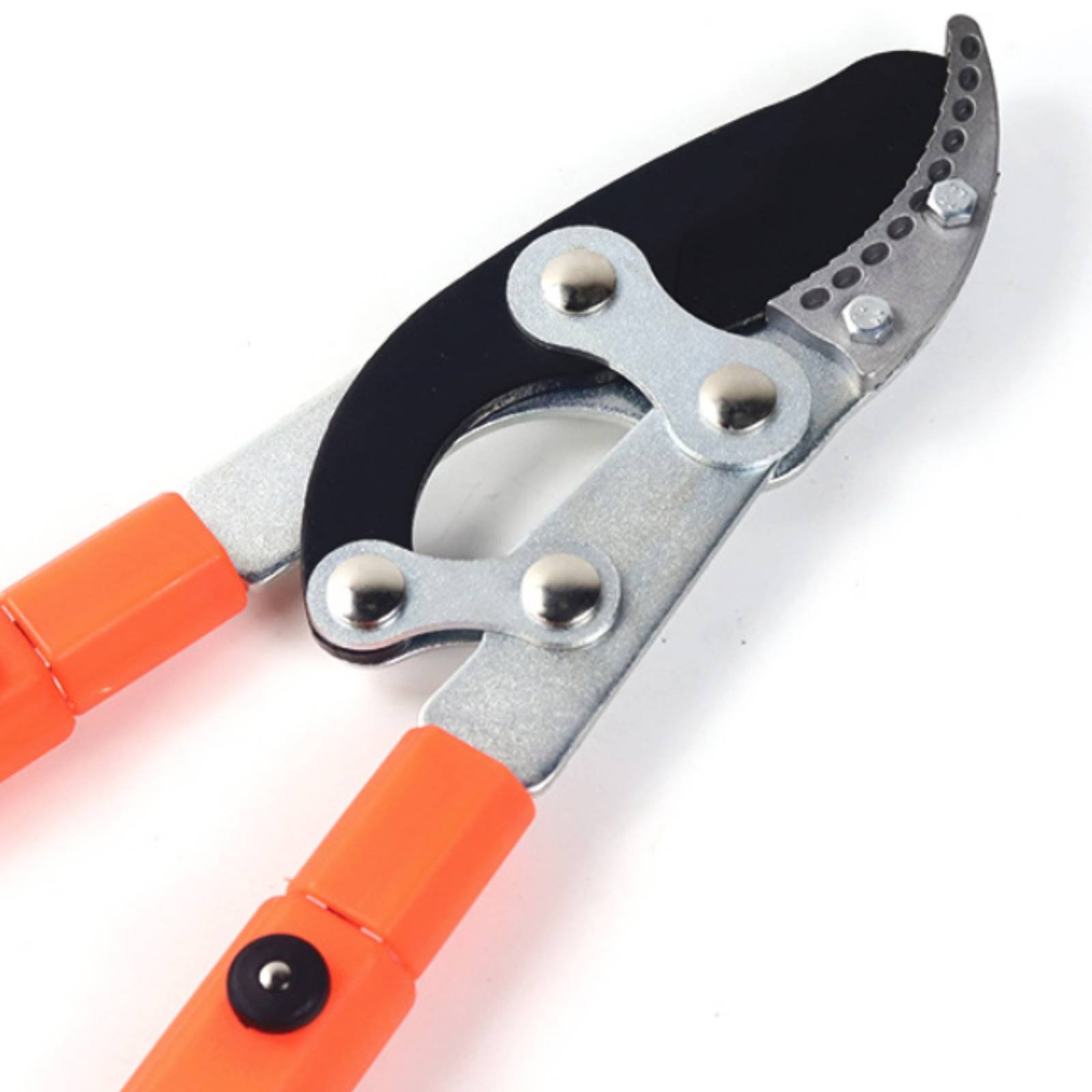 伸縮式枝切り鋏 シャープブレード 頑丈な木剪定鋏 剪定鋏 快 - Garden Tools のレビューと価格